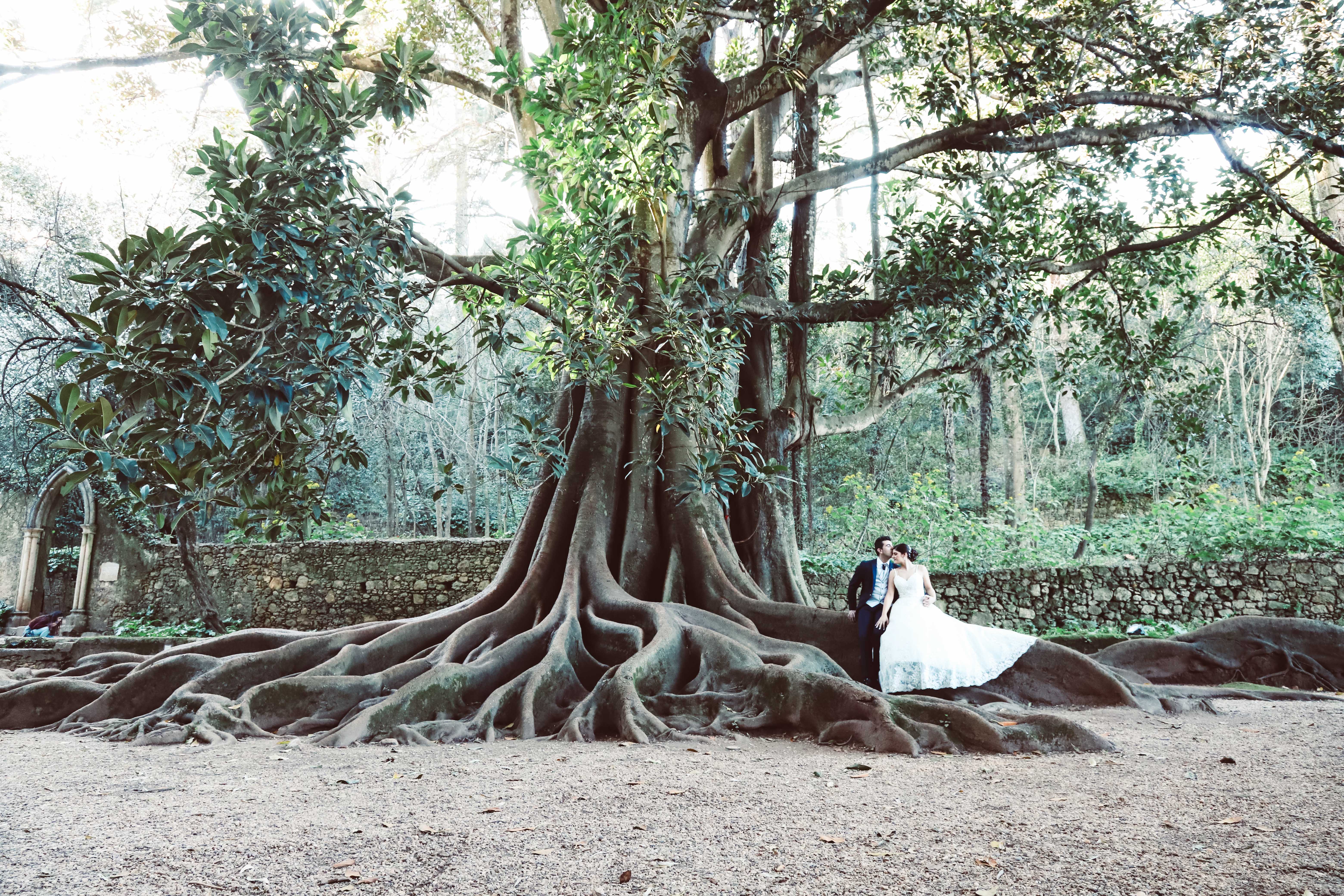 Paula + Filipe
